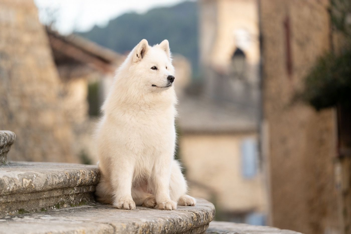 Uliana mary oshka Des Noces De Coton