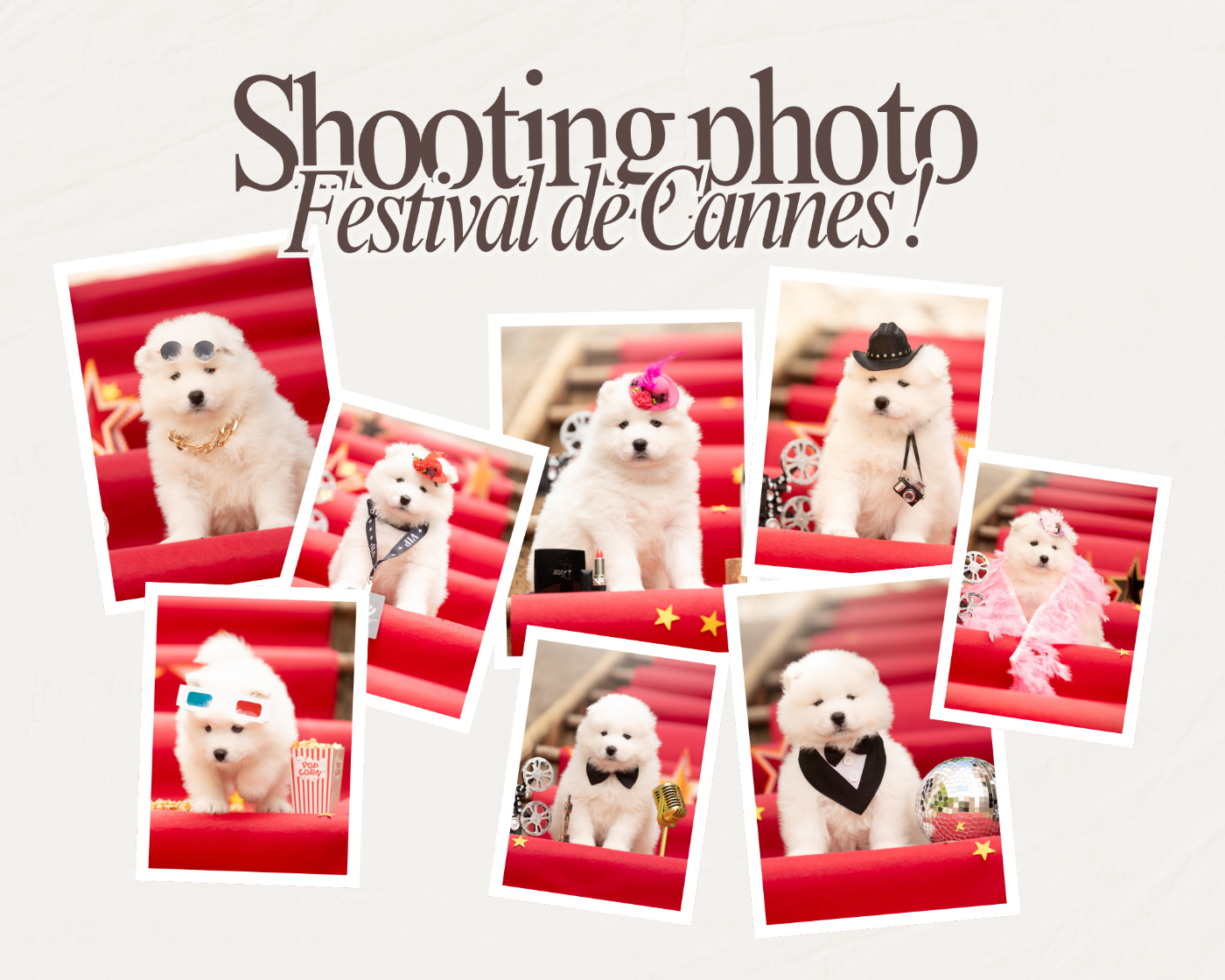Les stars du Festival de Cannes !