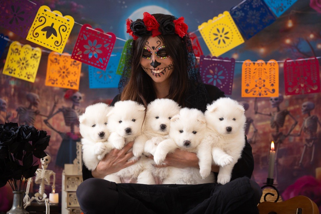 Des Noces De Coton - Día de los Angelitos