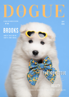 Brooks