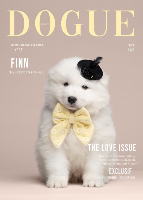Finn